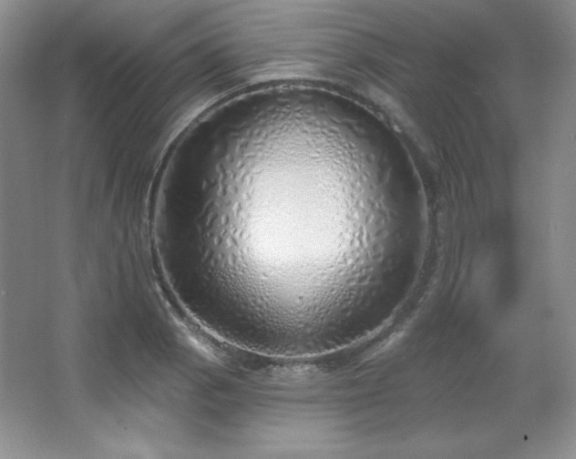X0000067941129200604131442