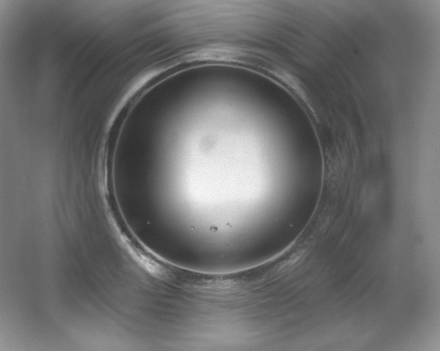 X0000067941131200604131442