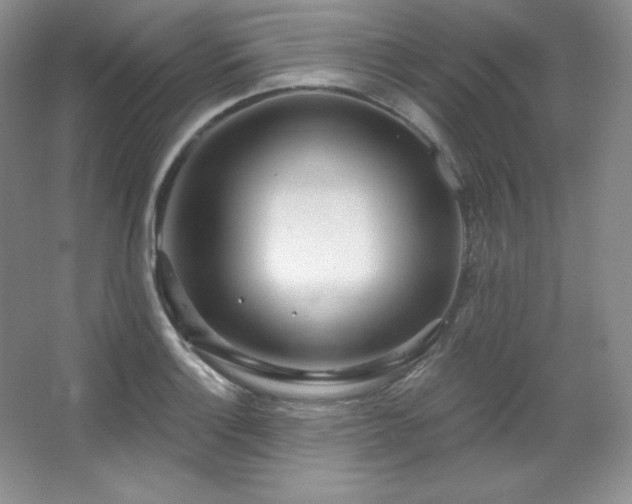 X0000067941132200604131442