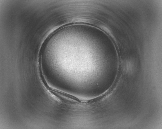 X0000067941133200604131442