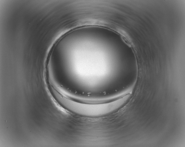 X0000067941136200604131442