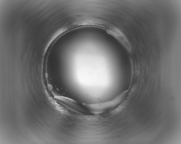 X0000067941138200604131442