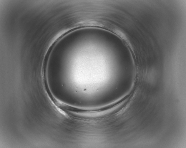 X0000067941141200604131442