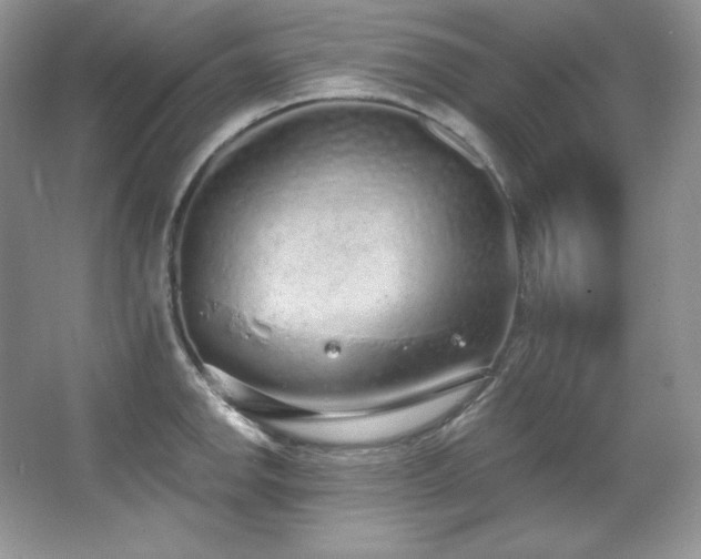 X0000067941142200604131442