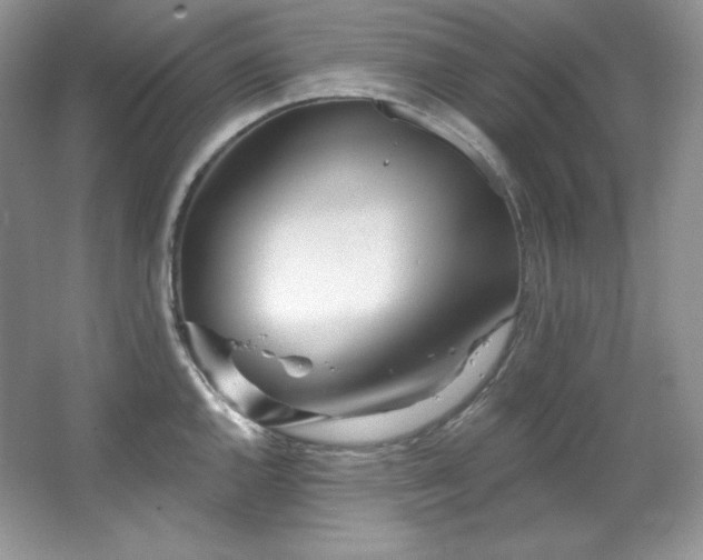 X0000067941144200604131442