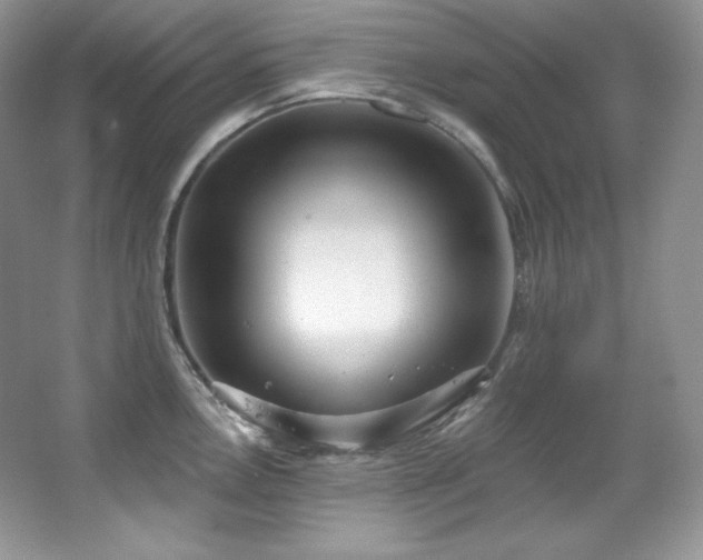 X0000067941146200604131442