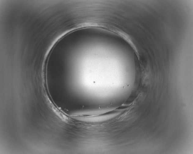 X0000067941148200604131442