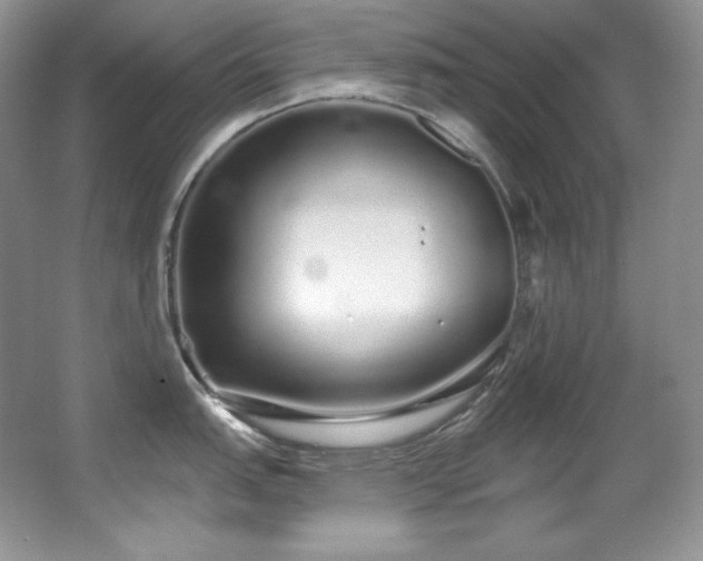 X0000067941151200604131442