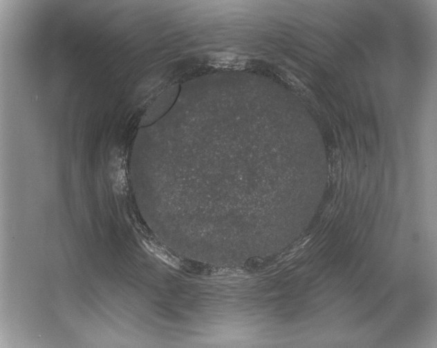 X0000067941154200604131441