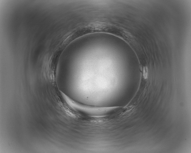 X0000067941155200604131441