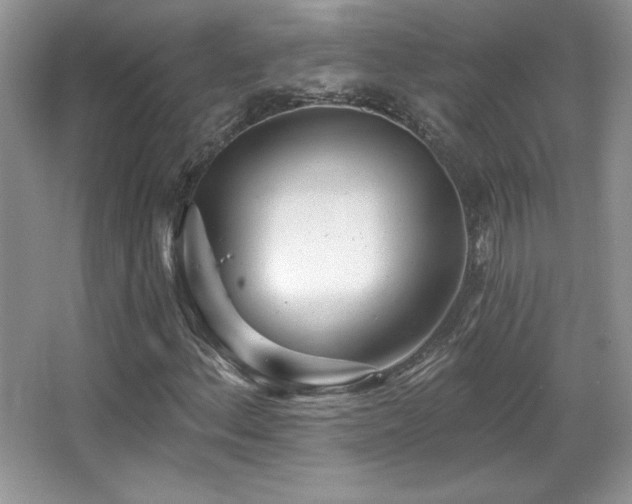 X0000067941156200604131441