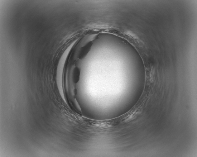 X0000067941157200604131441