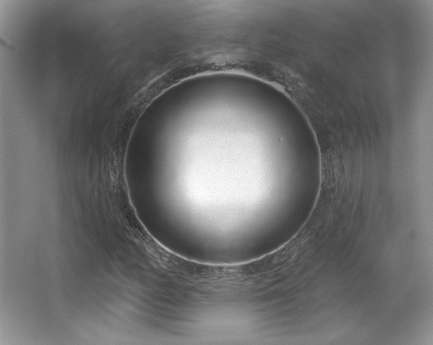 X0000067941158200604131441