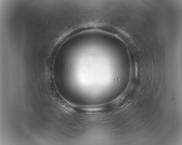 X0000067941160200604131441