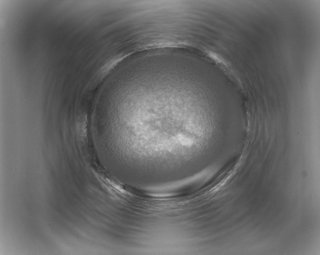 X0000067941161200604131441