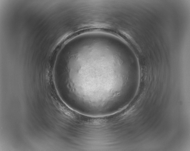X0000067941163200604131441
