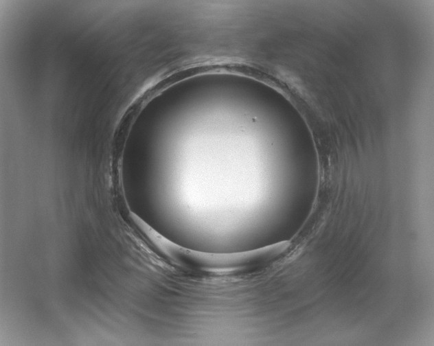 X0000067941165200604131441