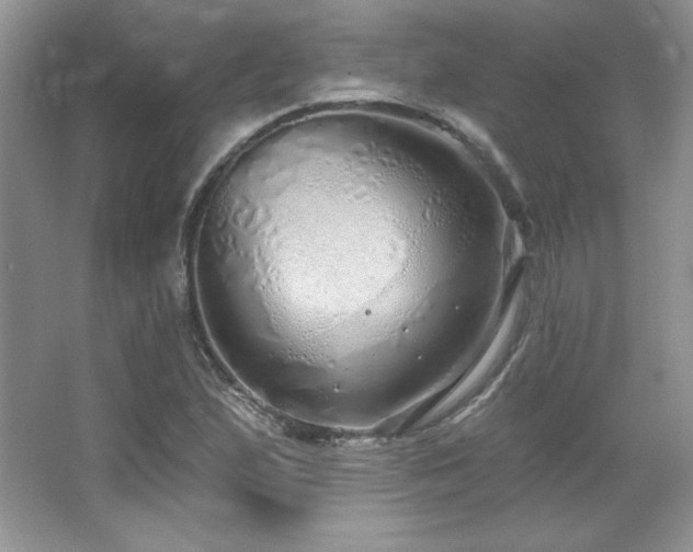X0000067941167200604131441