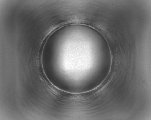 X0000067941170200604131441