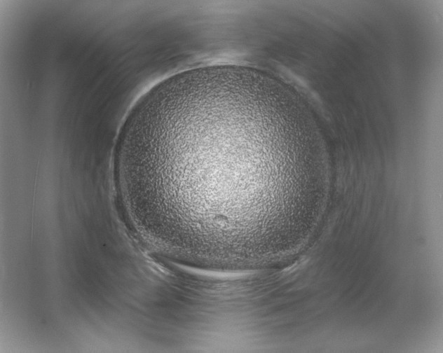 X0000067941174200604131441