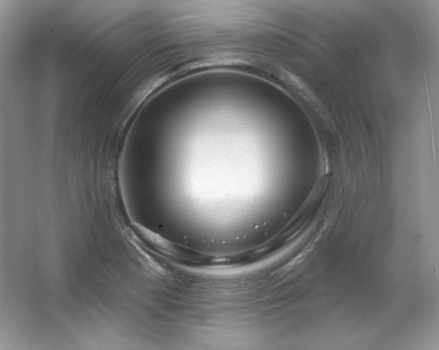 X0000067941177200604131441