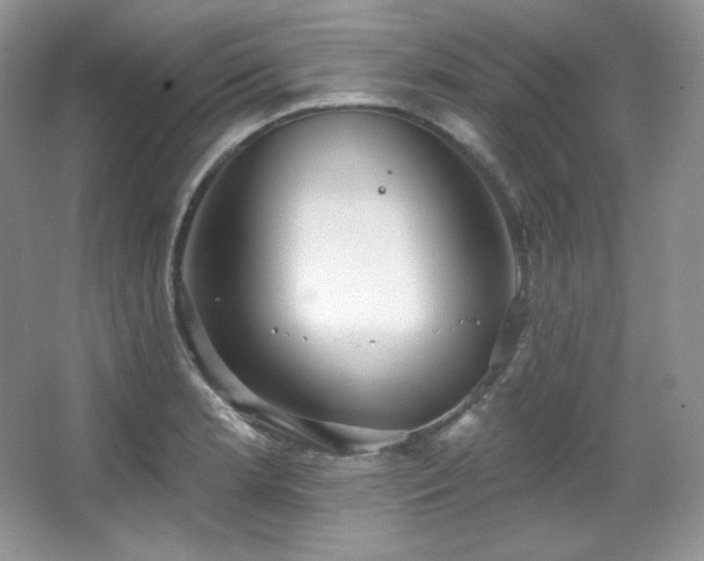 X0000067941181200604131441