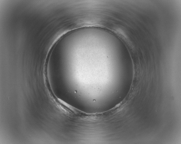 X0000067941182200604131441