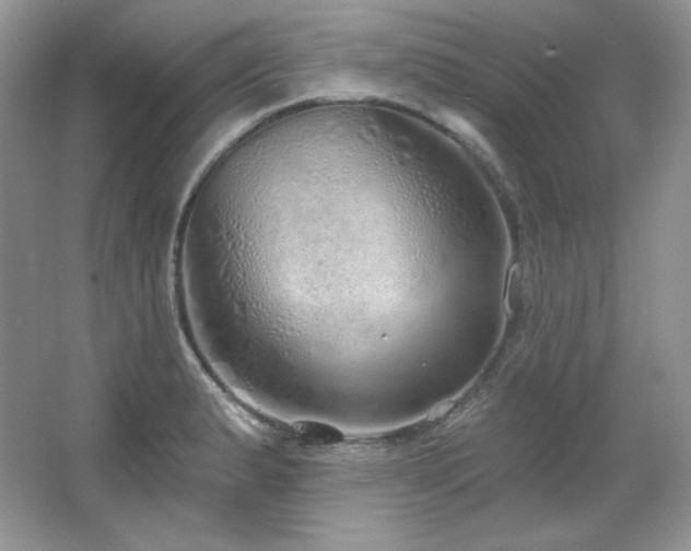 X0000067941183200604131441