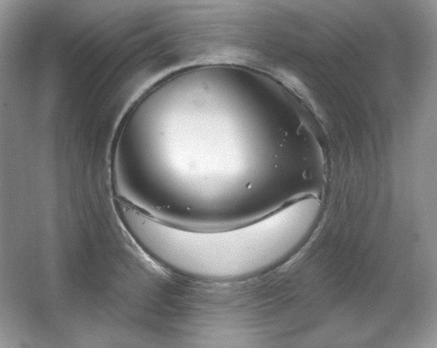 X0000067941184200604131441