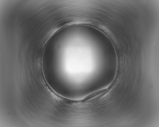 X0000067941185200604131441
