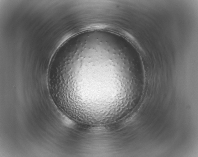 X0000067941186200604131441