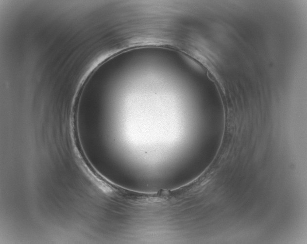 X0000067941187200604131441