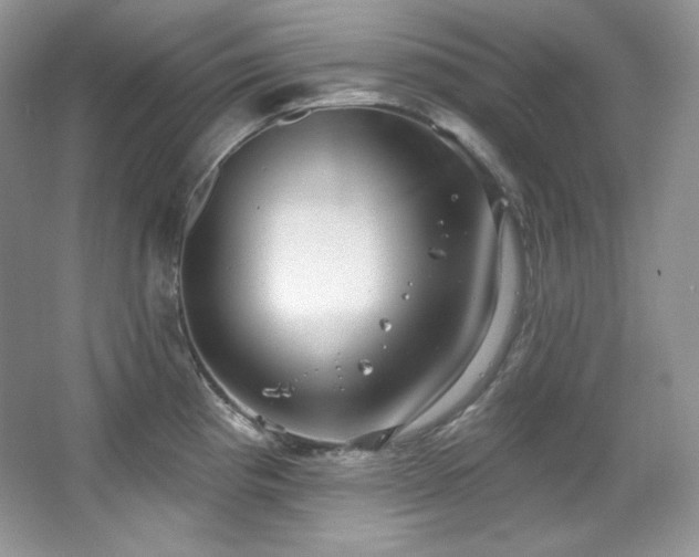 X0000067941193200604131441