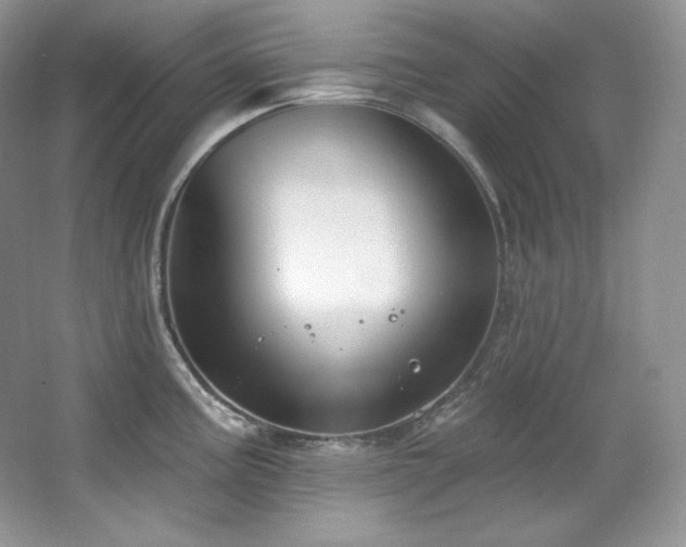 X0000067941195200604131441