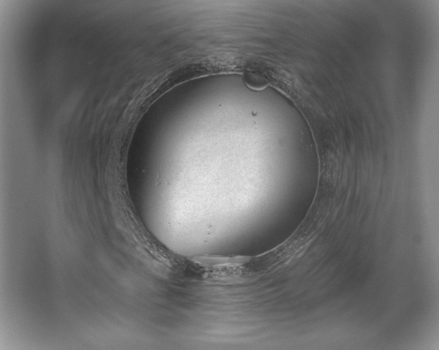 X0000067941201200604131440