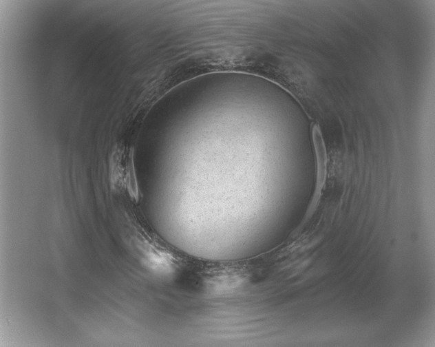 X0000067941202200604131440