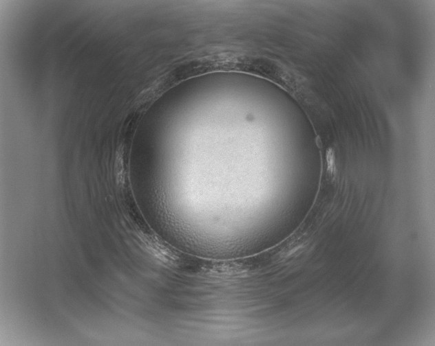 X0000067941203200604131440