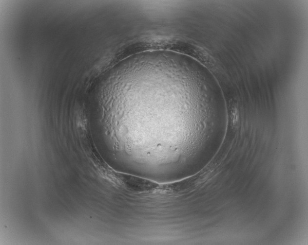 X0000067941204200604131440