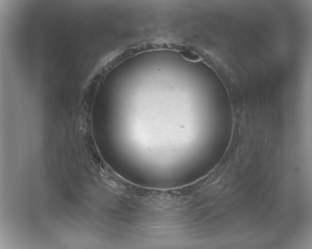 X0000067941207200604131440