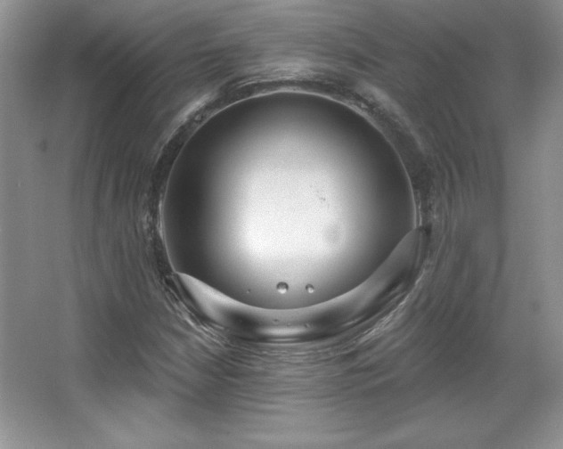 X0000067941210200604131440