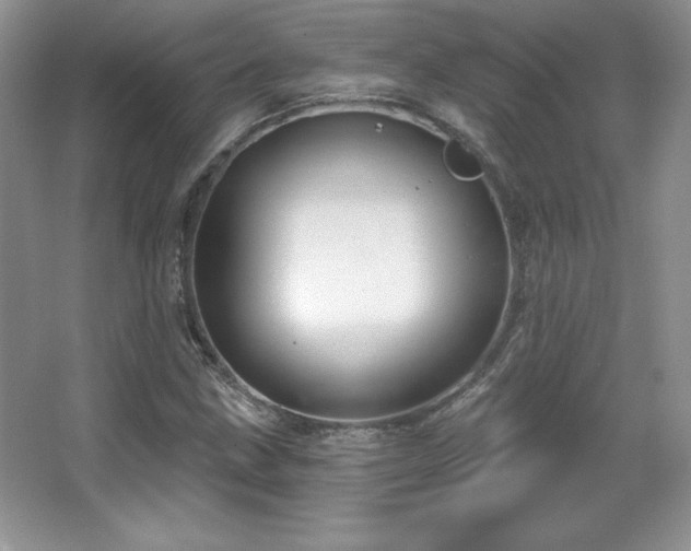 X0000067941211200604131440