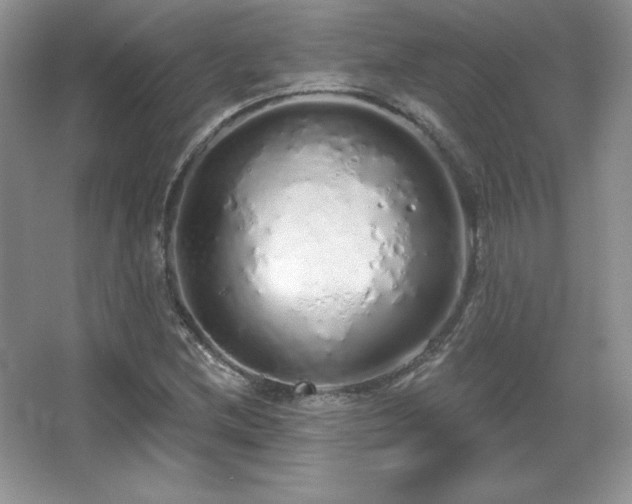 X0000067941212200604131440