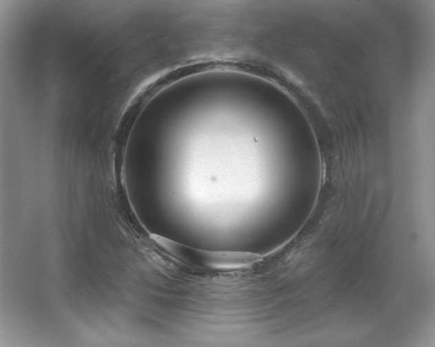 X0000067941214200604131440