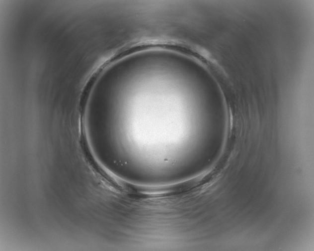X0000067941221200604131440