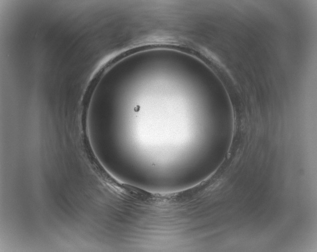 X0000067941222200604131440