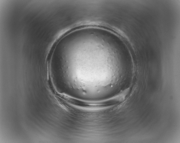 X0000067941223200604131440