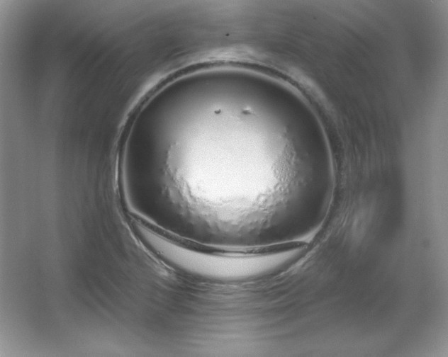 X0000067941224200604131440