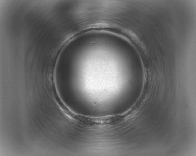 X0000067941225200604131440