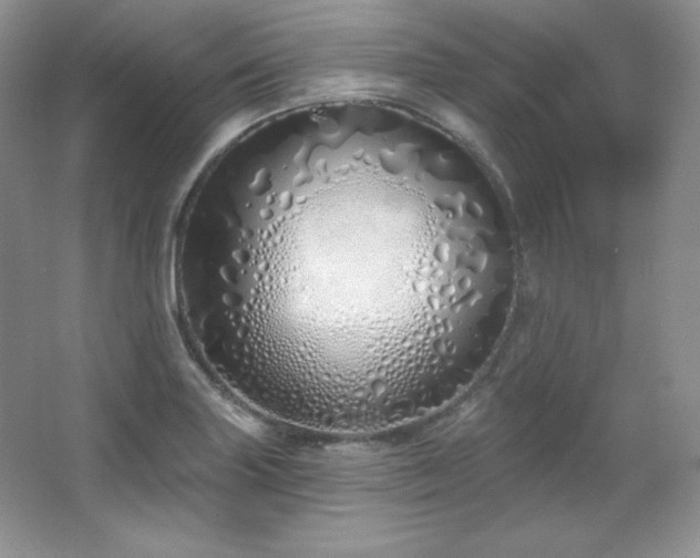 X0000067941227200604131440