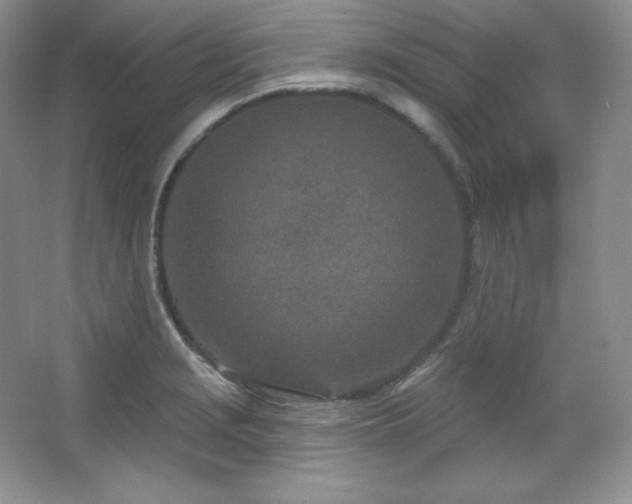 X0000067941229200604131440